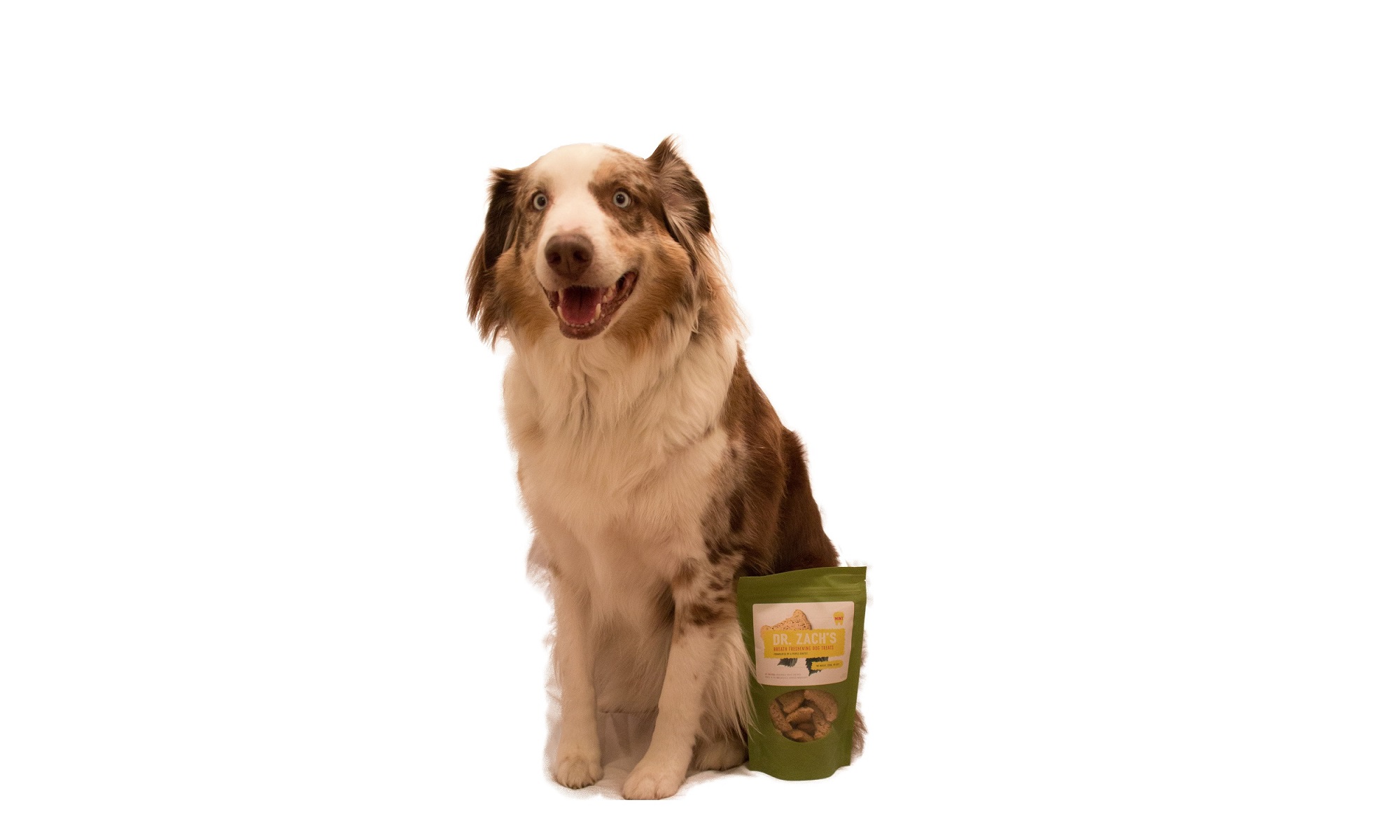 Dr. Zach's All Natural Breath Freshening Dog Treats